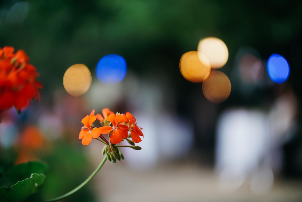 Art for All Project – Opening Event